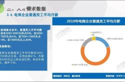 电商企业调查及建议