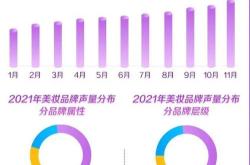 2021年电商折扣情况分析与建议