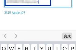 苹果手机的id密码忘了咋办
