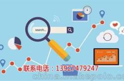 seo网站优化案例