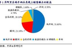 2021年中国电商市场份额