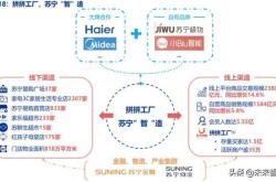 自营品牌电商模式有哪几种类型