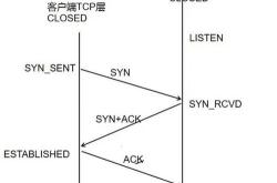 算法编程学什么