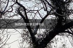 陕西科技大学皮革专业是什么学院