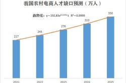 农村电商巨头