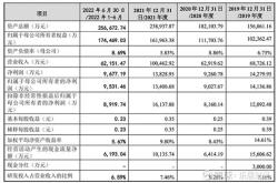 科技股价格