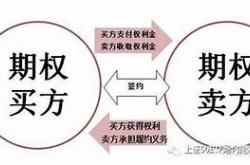 宸嘉发展上海新盘认购风波透明度与效率的双重挑战