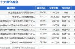 月日税友股份创日新高，南方金融主题灵活配置混合基金重仓该股