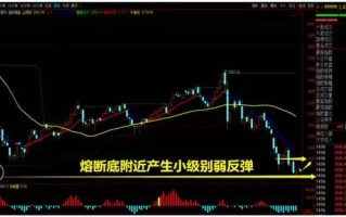 科技软件板块股票有哪些？投资机会与风险全解析，助你轻松布局数字浪潮