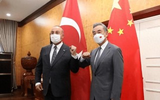 科技在农业上的应用：精准农业、智能灌溉、数字育种如何让农业更高效、更环保