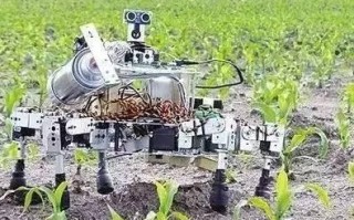 科技在农业中的作用小报：揭秘现代农业如何用智能科技让种地更轻松高效