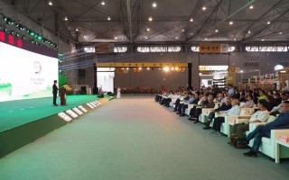 科技英语的英文：精准掌握专业术语与写作规范，轻松应对全球化科技交流