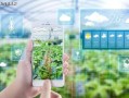 科技在农业生产中的应用：智慧农业如何让种植更轻松高效，解决传统农业难题