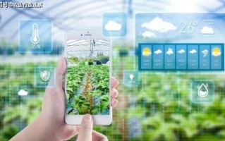 科技在农业生产中的应用：智慧农业如何让种植更轻松高效，解决传统农业难题