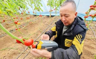 科技运用于农业：精准高效种植，让农民轻松增收