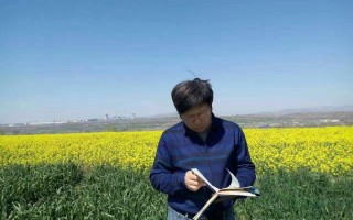 河南科技学院英语专业考研率揭秘：从迷茫到上岸的成功经验分享