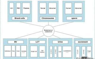 科技应用有哪些？从手机支付到AI医疗，这些实用科技让生活更便捷快乐