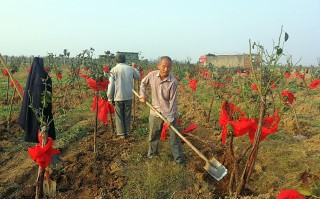 科技在我国农业生产中的应用：智慧农业如何让种地更轻松高效