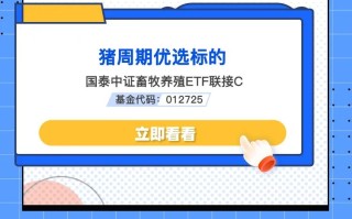 科技类的龙头股投资指南：如何识别高成长科技股并规避风险