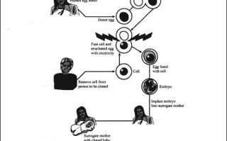 科技英语教程：轻松掌握专业沟通密码，高效阅读国际文献