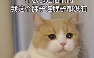 2023年最新科技龙头股名单：投资优等生，轻松把握未来财富机遇