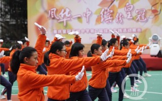 科技在发展农业中的作用举例说明：智能灌溉、无人机监测、农业机器人等精准农业技术如何让耕作更轻松高效