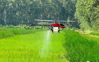 科技在农业生产中的作用：智能灌溉、精准施肥、无人机植保等实用指南，让农业更高效省力