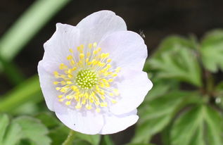 镜花水月——虚幻中的真实与人生的启示