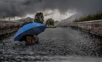 恰逢雨连天，如何优雅应对持续的阴雨天气