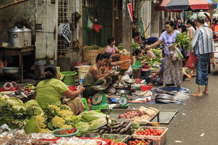 畅春园食街，美食与文化的交融之旅