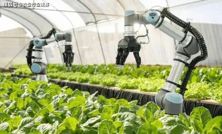 科技在农业中的应用实例：智能农业如何让种地更轻松高效-第2张图片-金科赋能录