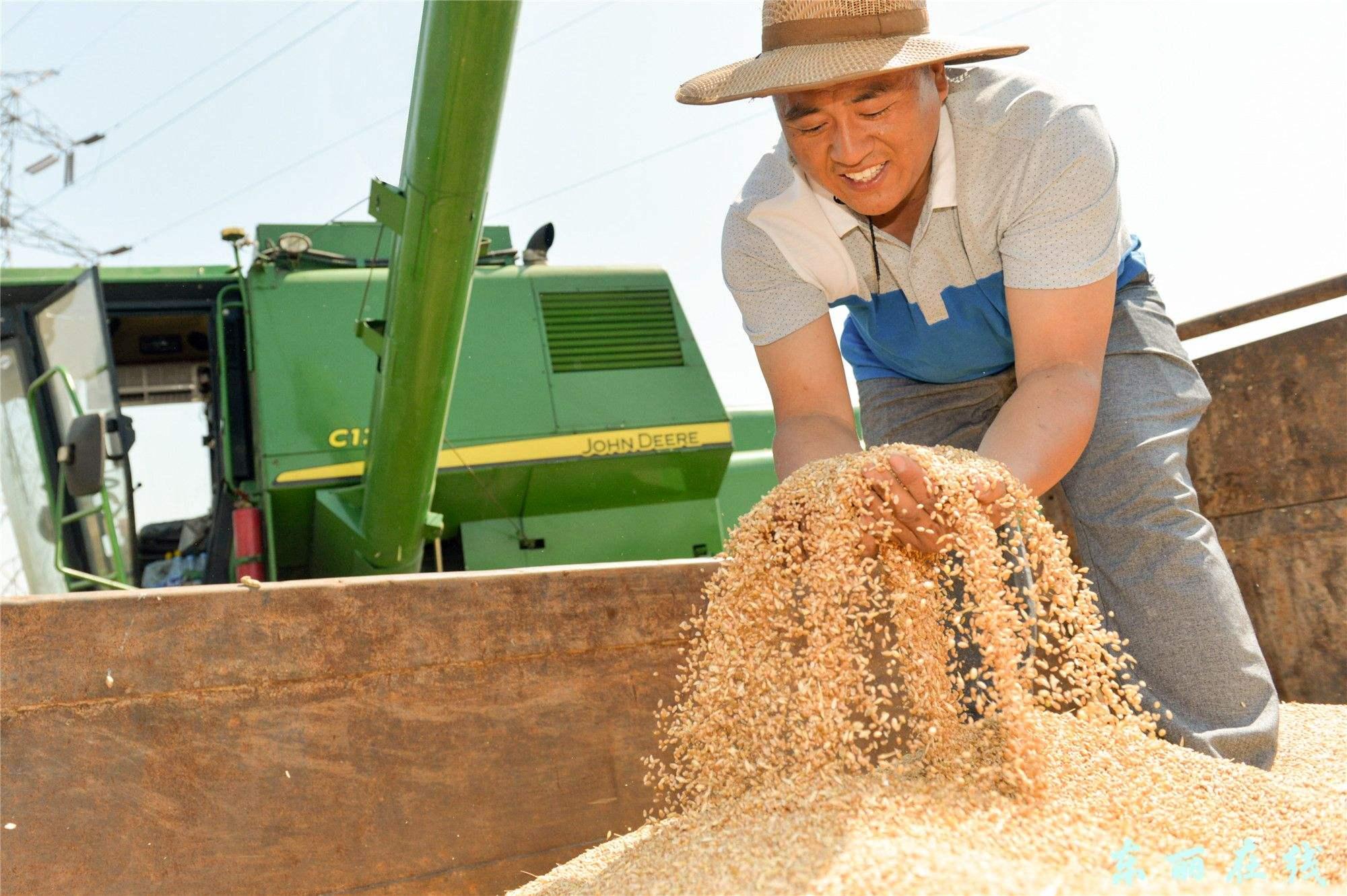 科技在农业中的应用实例：智能农业如何让种地更轻松高效-第3张图片-金科赋能录