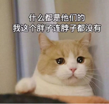 2023年最新科技龙头股名单：投资优等生，轻松把握未来财富机遇-第1张图片-金科赋能录