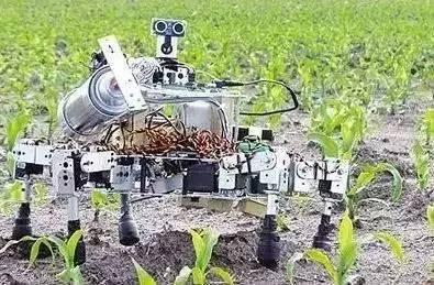 科技在农业中的作用小报：揭秘现代农业如何用智能科技让种地更轻松高效-第1张图片-金科赋能录