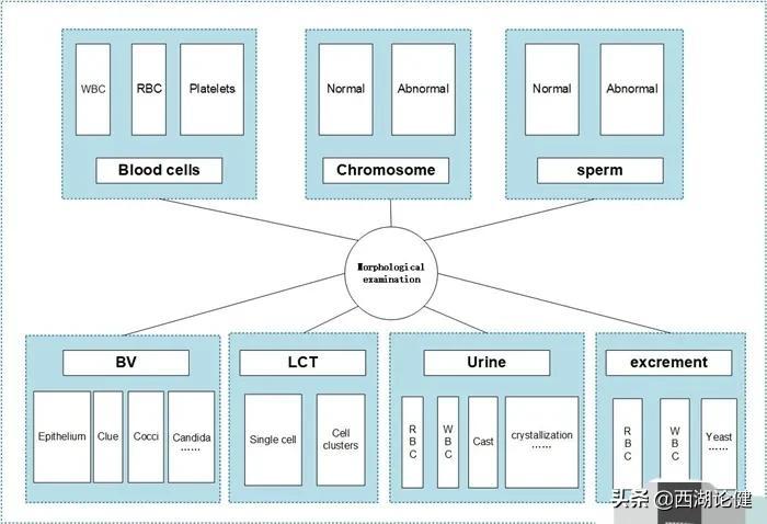 科技应用有哪些？从手机支付到AI医疗，这些实用科技让生活更便捷快乐-第1张图片-金科赋能录