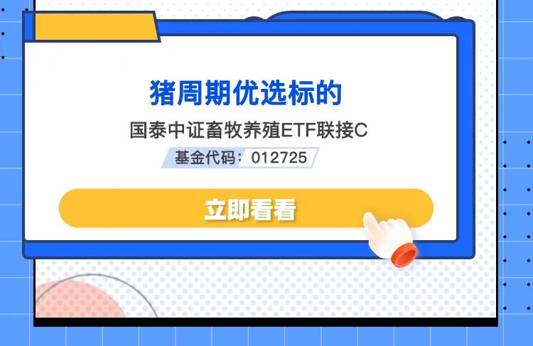 科技类的龙头股投资指南：如何识别高成长科技股并规避风险-第1张图片-金科赋能录