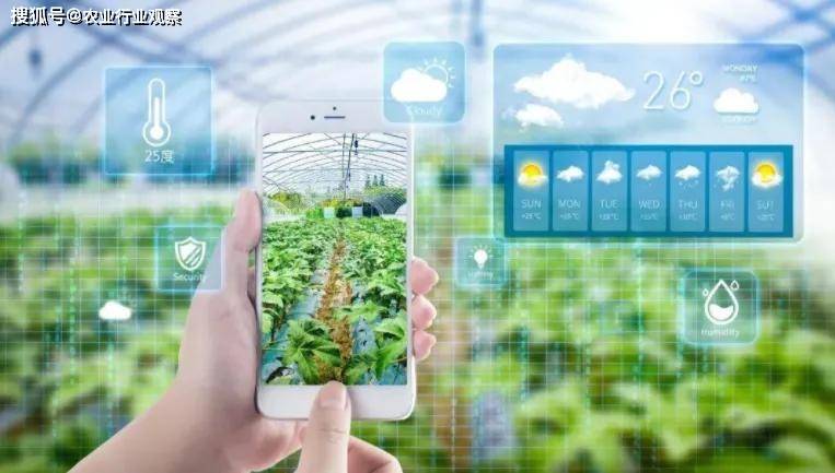 科技在农业生产中的应用：智慧农业如何让种植更轻松高效，解决传统农业难题-第1张图片-金科赋能录