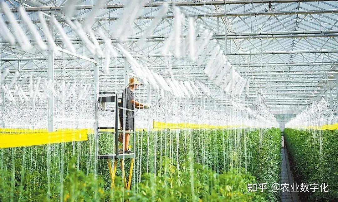 科技在农业生产中的应用：智慧农业如何让种植更轻松高效，解决传统农业难题-第2张图片-金科赋能录