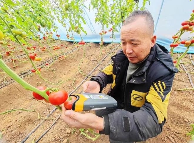 科技运用于农业:精准高效种植,让农民轻松增收-第1张图片-金科赋能录 科技运用于农业:精准高效种植,让农民轻松增收-第1张图片-金科赋能录