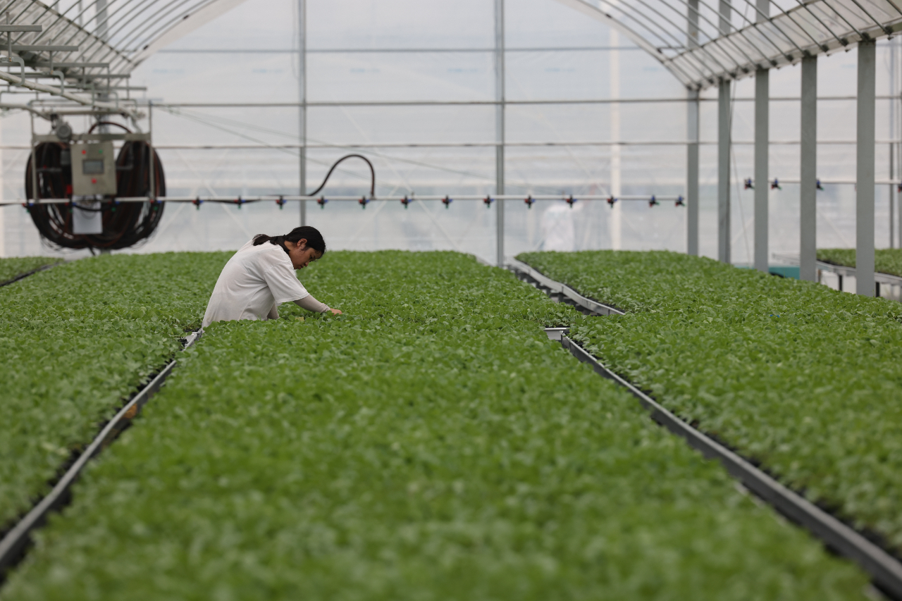 科技运用于农业:精准高效种植,让农民轻松增收-第2张图片-金科赋能录 科技运用于农业:精准高效种植,让农民轻松增收-第2张图片-金科赋能录