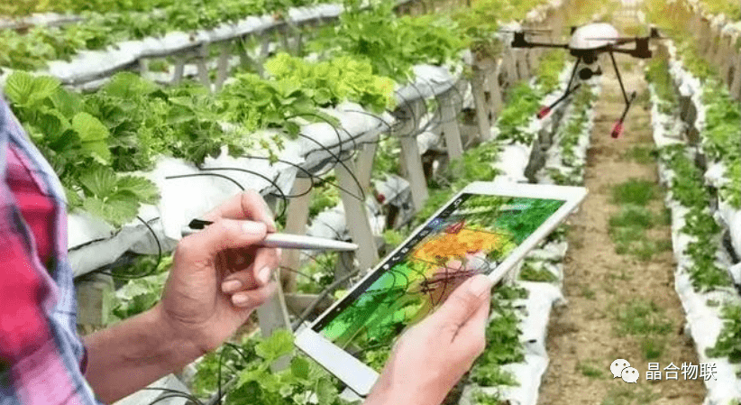 科技运用于农业:精准高效种植,让农民轻松增收-第3张图片-金科赋能录 科技运用于农业:精准高效种植,让农民轻松增收-第3张图片-金科赋能录