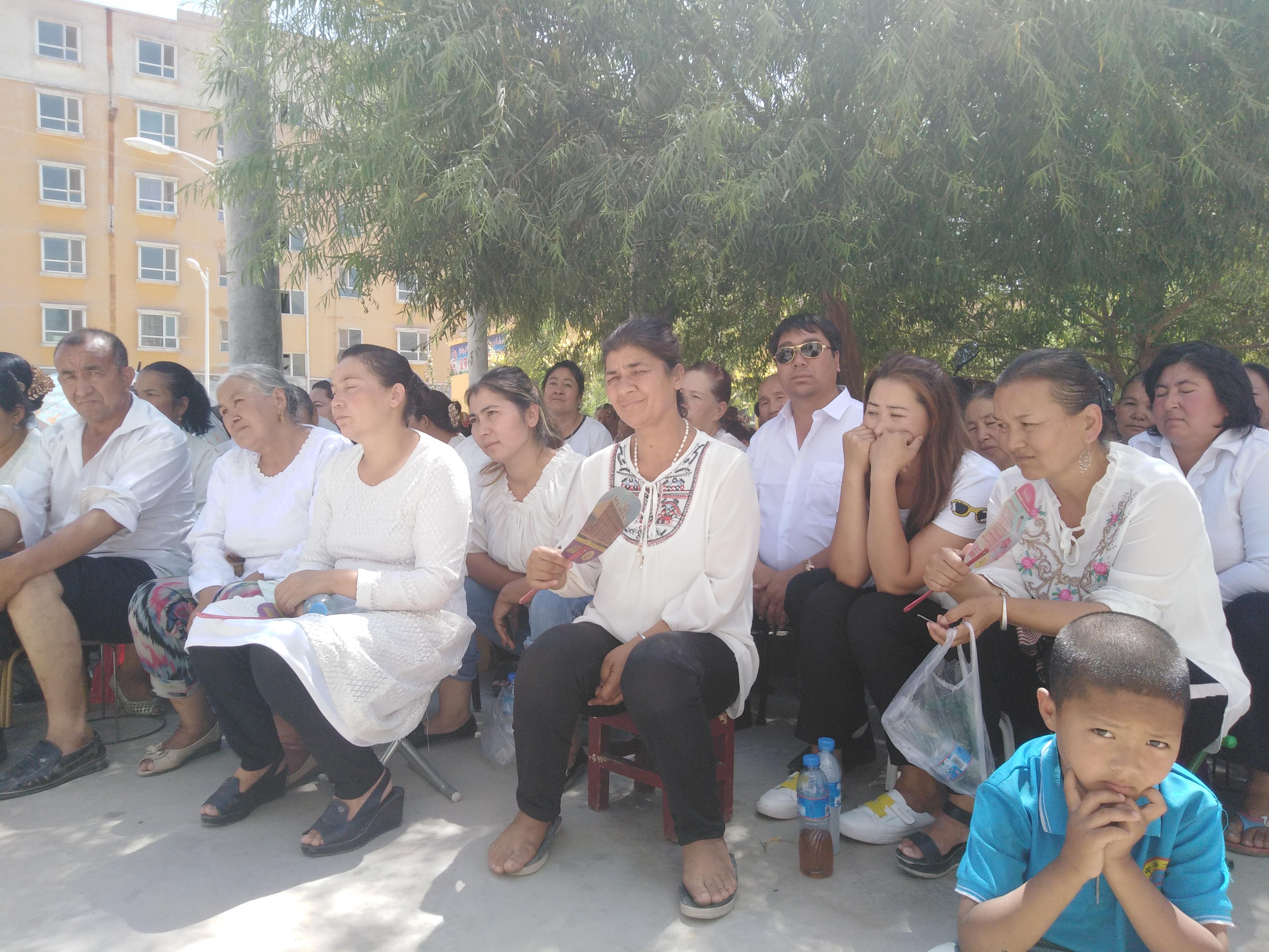 科技的应用领域：医疗、农业、教育与交通如何让生活更便捷高效-第1张图片-金科赋能录