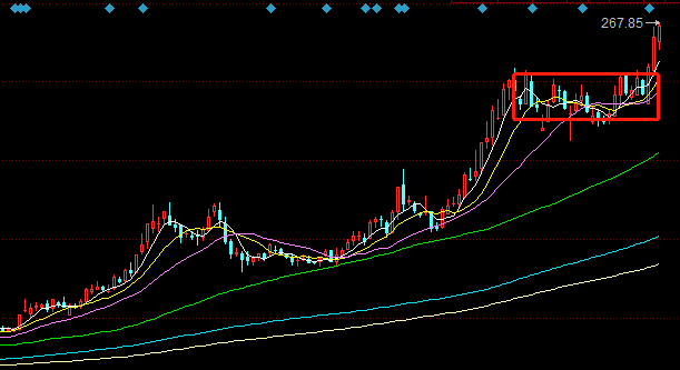 2021年科技龙头股票一览表：把握数字化转型机遇，轻松布局高成长标的-第1张图片-金科赋能录
