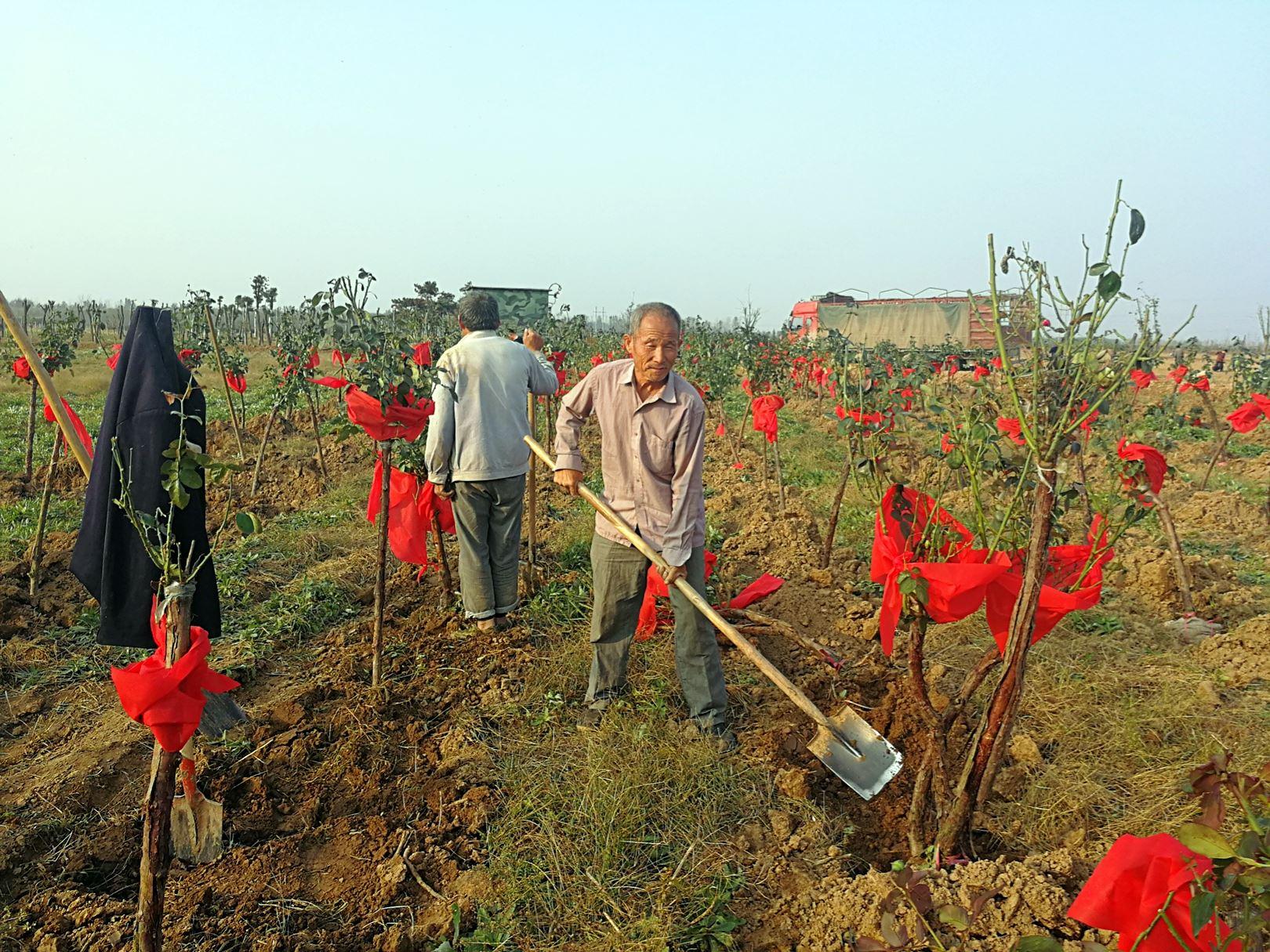 科技在我国农业生产中的应用：智慧农业如何让种地更轻松高效-第1张图片-金科赋能录