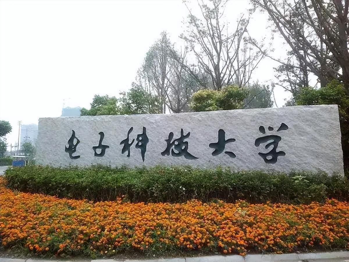 河南科技学院英语专业考研率揭秘：从迷茫到上岸的成功经验分享-第2张图片-金科赋能录