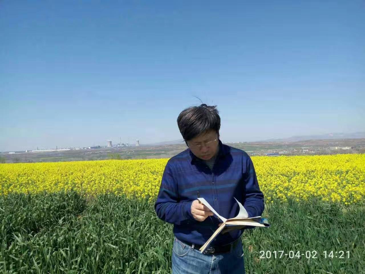 河南科技学院英语专业考研率揭秘：从迷茫到上岸的成功经验分享-第1张图片-金科赋能录