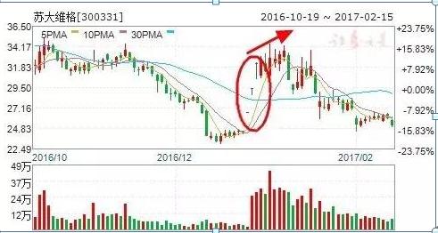 科技类龙头股投资指南：如何识别高潜力科技龙头并稳健获利-第2张图片-金科赋能录